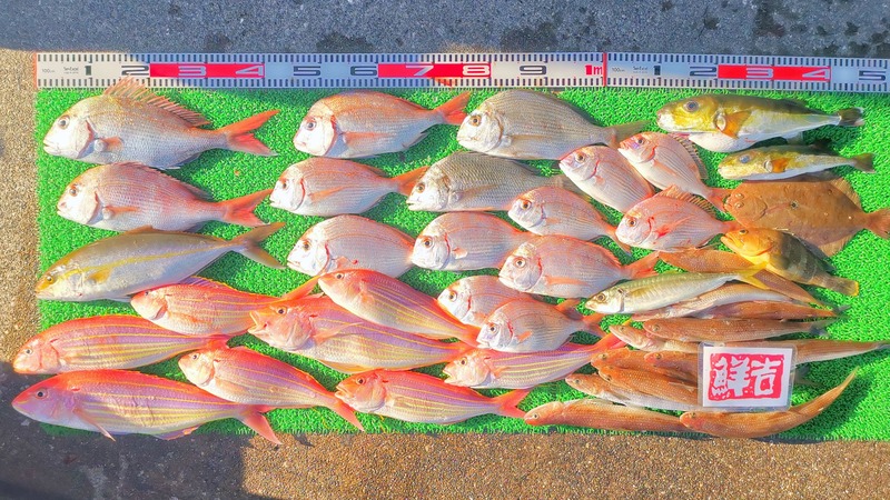 IMG_20211114_151454_edit_1060068916863765