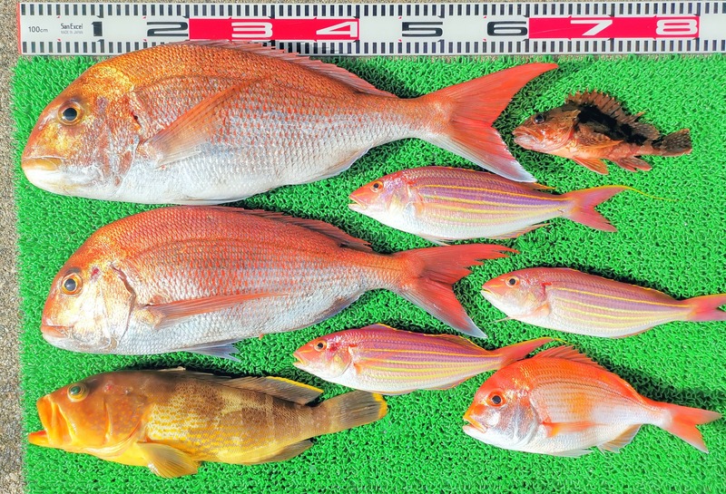 IMG_20260131_140217_edit_244667263140268