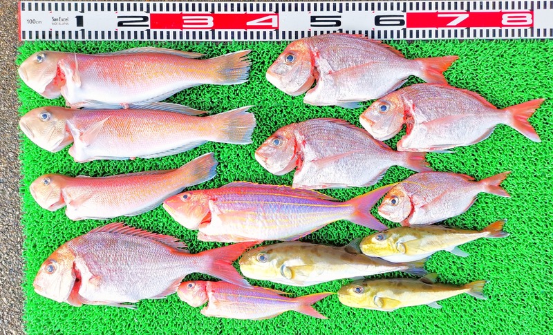 IMG_20251124_160009_edit_2675527046164654