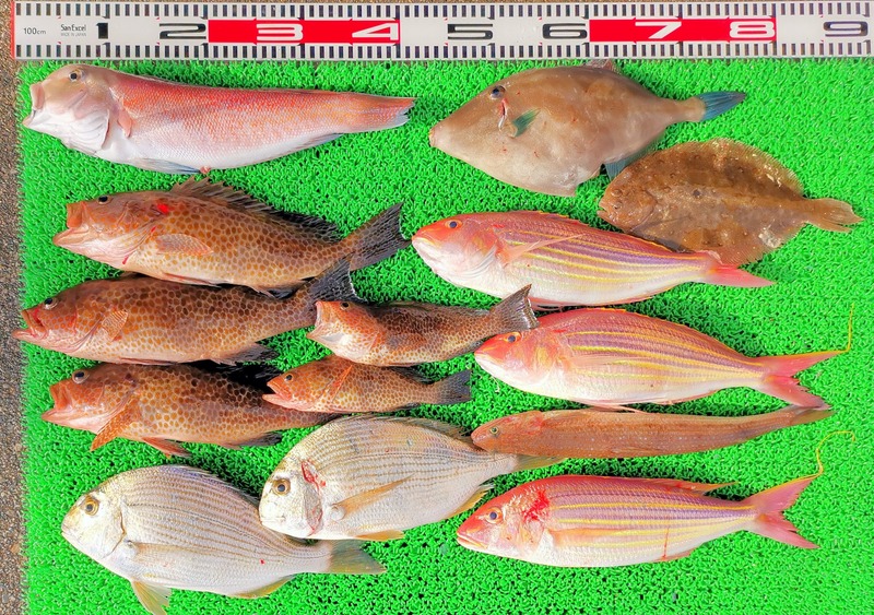 IMG_20241230_150128_edit_602101295116453