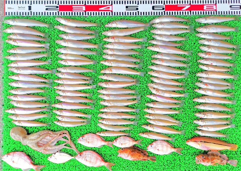 IMG_20220710_131458_edit_543083583682756