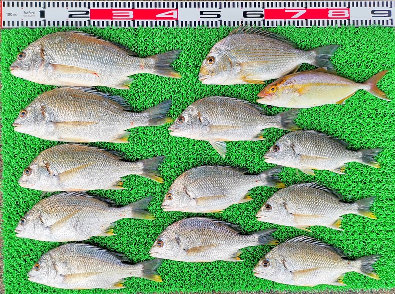 IMG_20230914_165032_edit_489996961087729