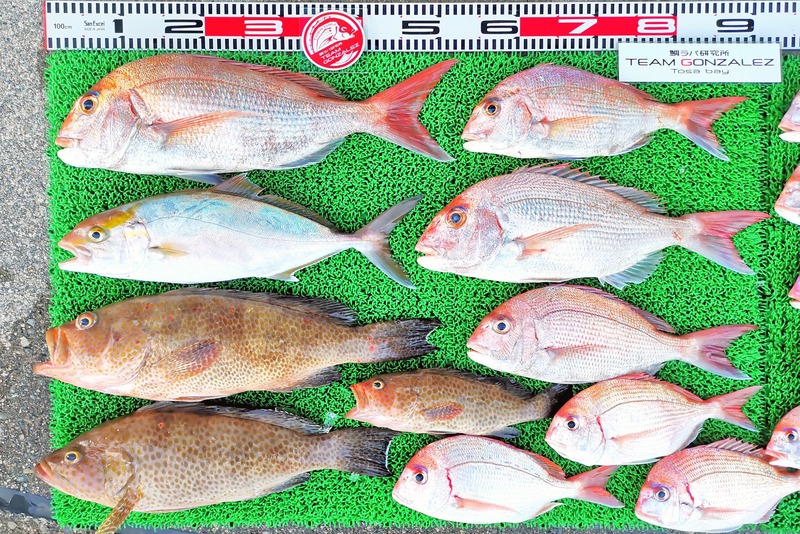 IMG_20251101_164357_edit_2198271494834874