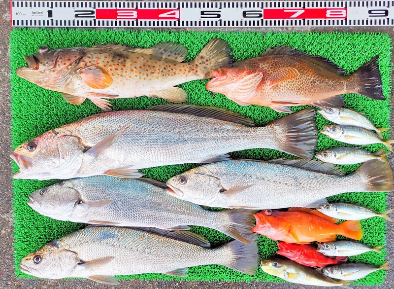 IMG_20251123_162123_edit_2652702504991574~2