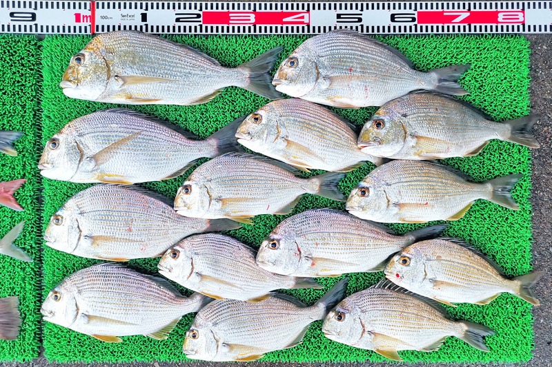 IMG_20251122_165934_edit_2629990995137748