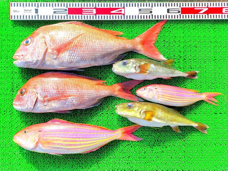 IMG_20210131_182400