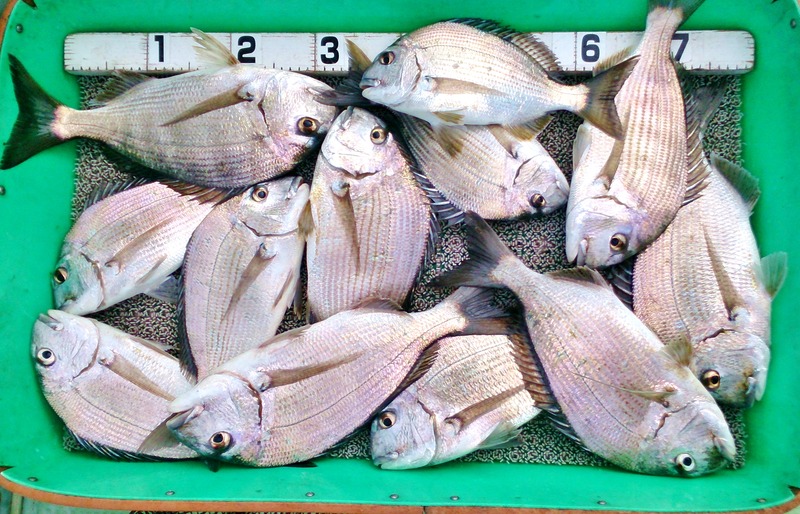 36