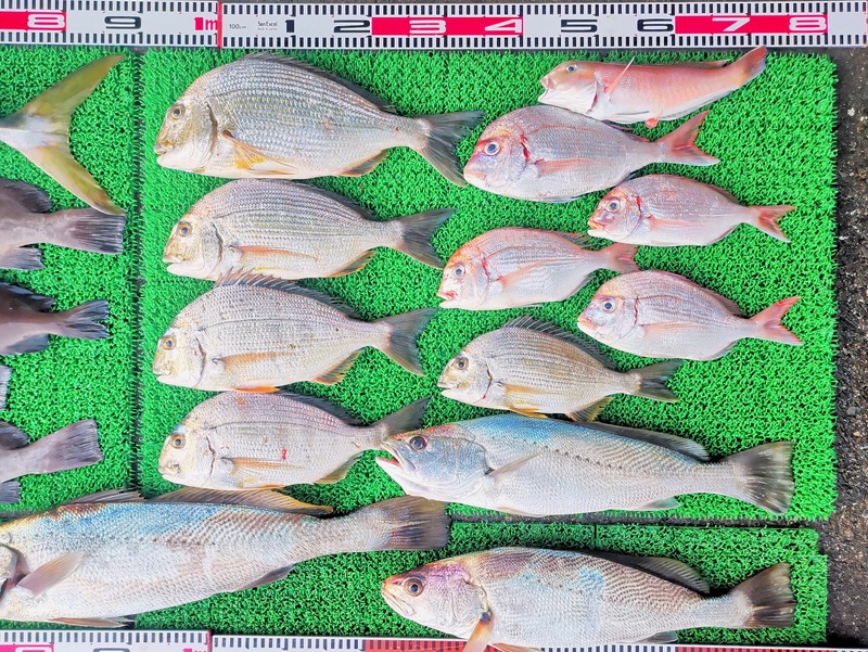 IMG_20251130_163104_edit_2803540266716475