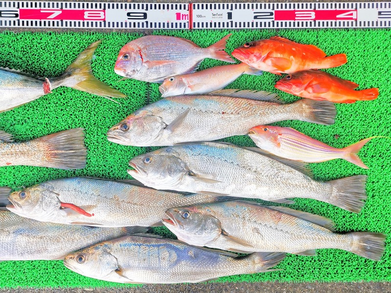 IMG_20251127_155326_edit_2735438310061762