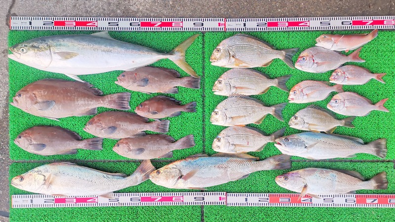 IMG_20251130_163040_edit_2803043898734780