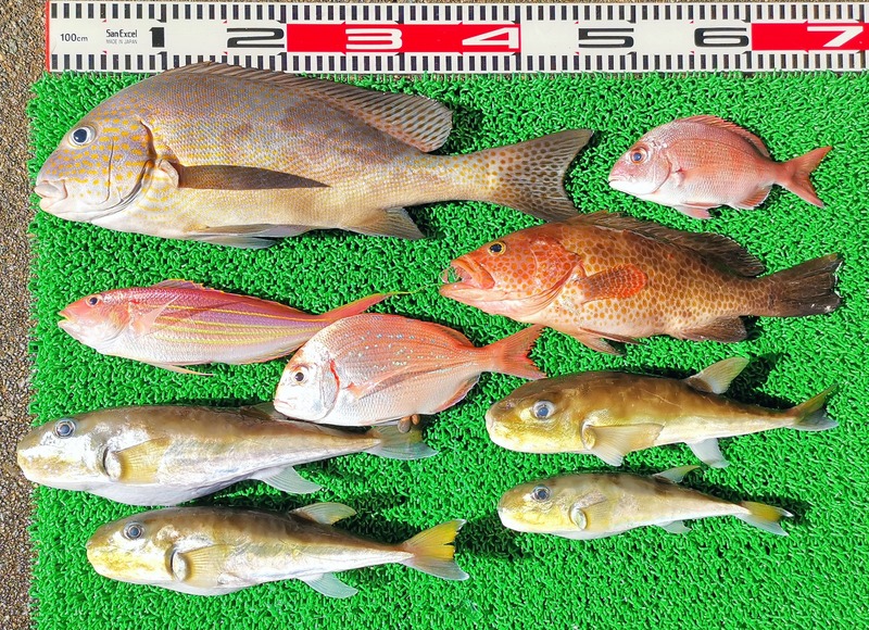 IMG_20251026_135920_edit_2070109359823181