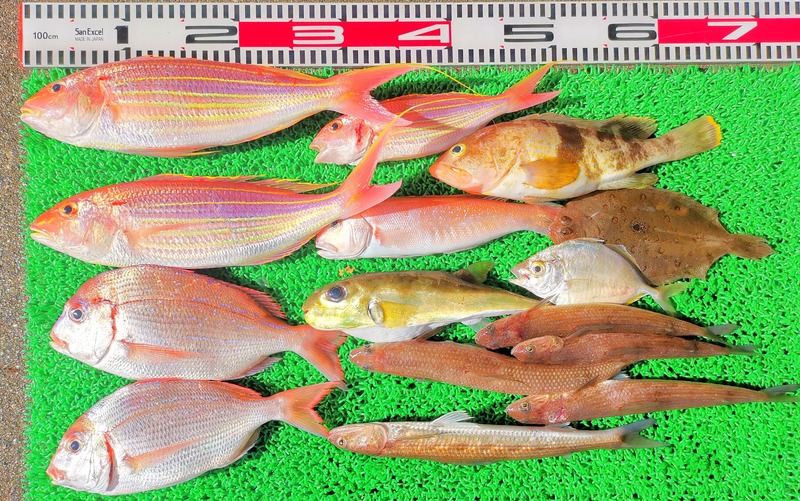 IMG_20251103_134542_edit_2246586311669168