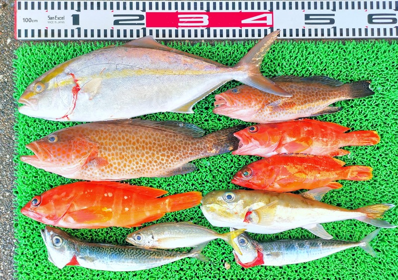 IMG_20251028_140038_edit_2100333521297215