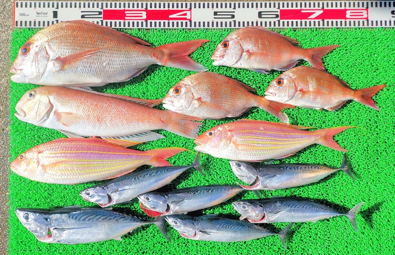 IMG_20251103_141143_edit_2246648924131138