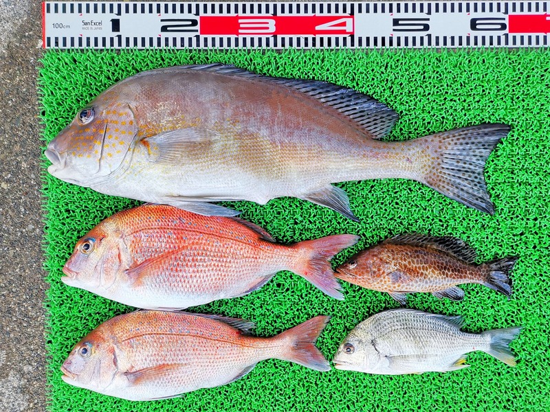 IMG_20211123_152609_edit_1246993567933680