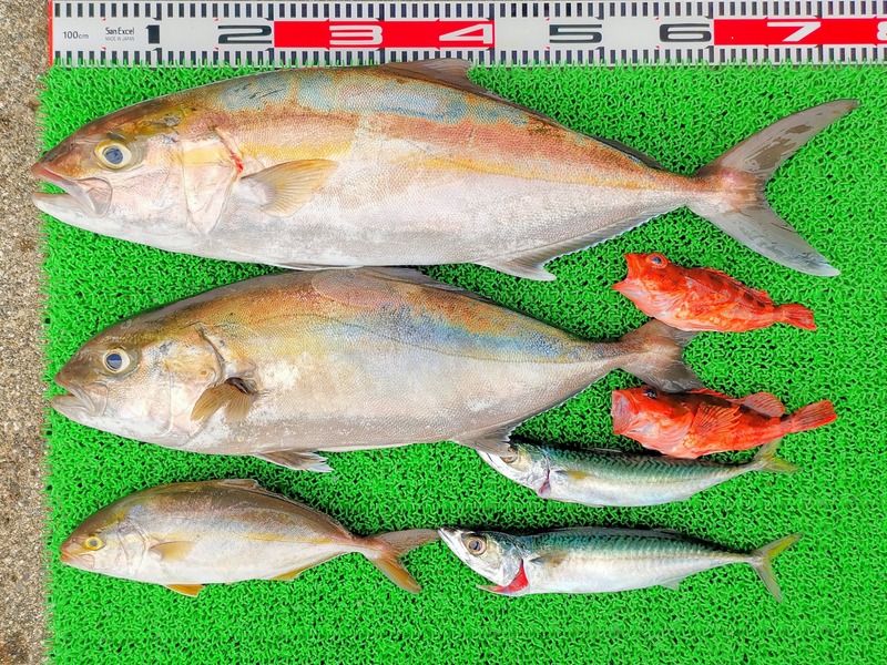 IMG_20210627_140547_edit_705864505455833