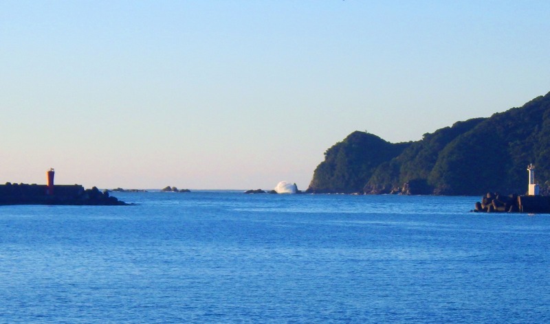 IMGP4559