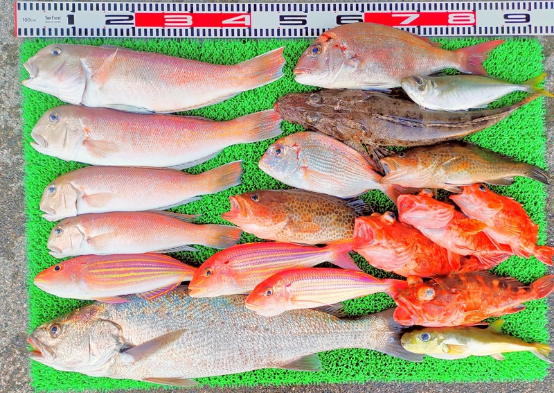 IMG_20251123_154805_edit_2652477895987442~2