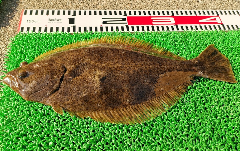 IMG_20250121_145222_edit_225719006363473