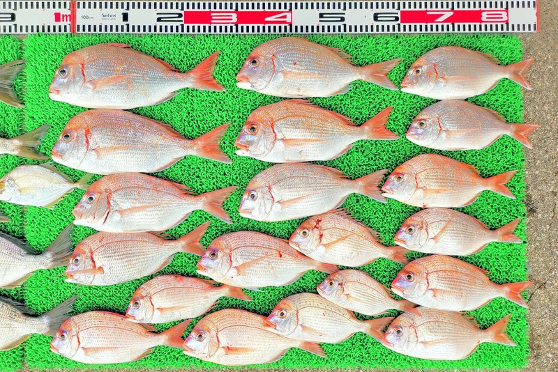 IMG_20251117_134937_edit_2521616554767306