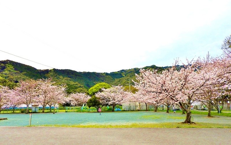 DSCN2234