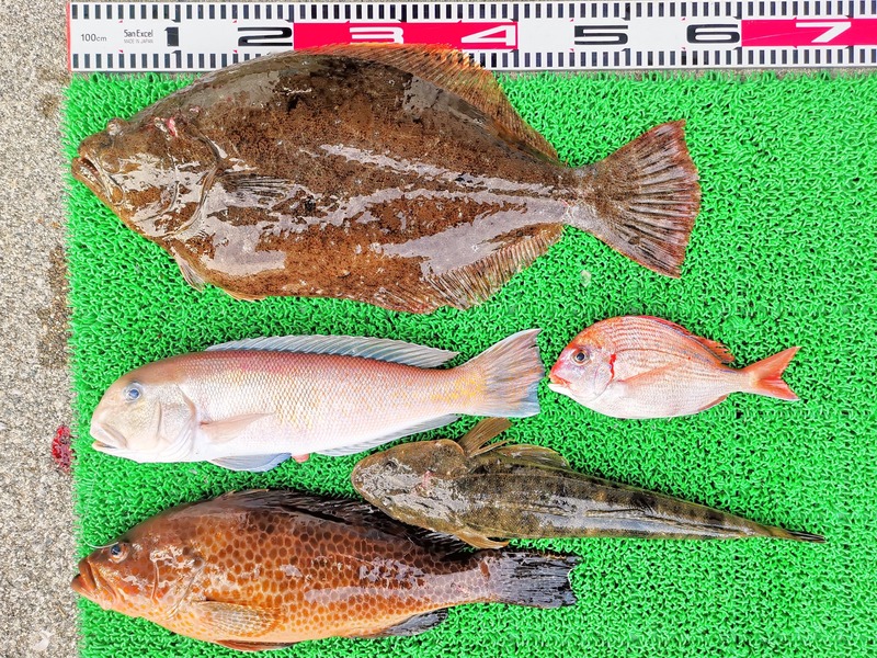 IMG_20260204_162117_edit_332444746157603