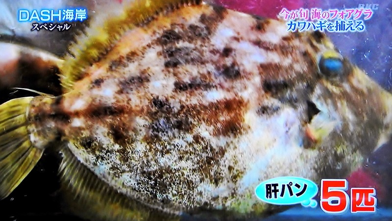 DSCN4837