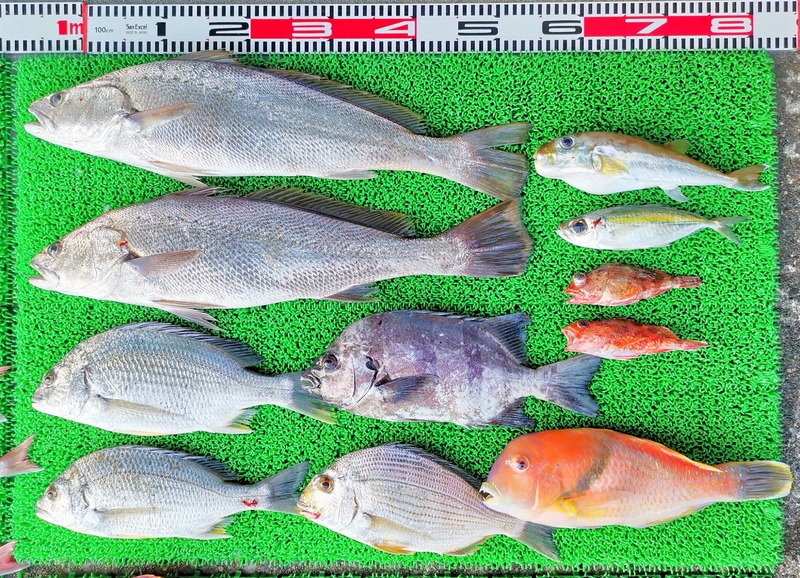 IMG_20241112_154453_edit_87245859403874