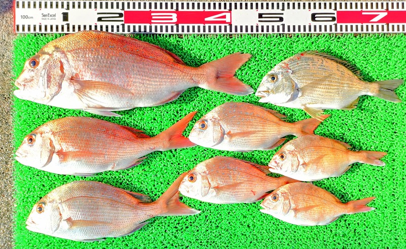 IMG_20241217_150052_edit_358499528210397