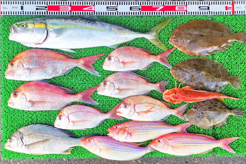 IMG_20211114_154927_edit_1060395050865278