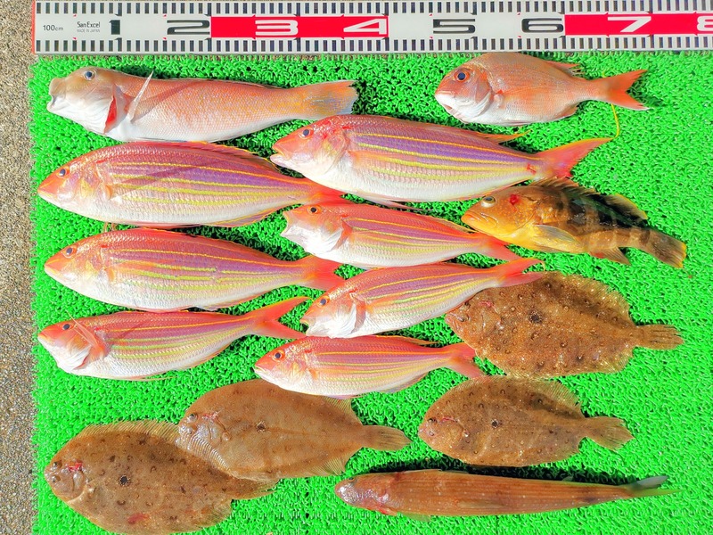 IMG_20250103_140605_edit_671059057415826