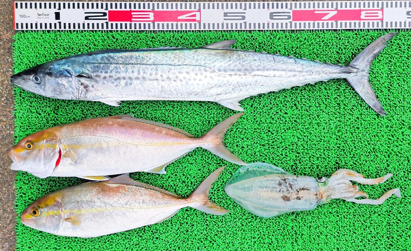 IMG_20251117_155725_edit_2521776987293844