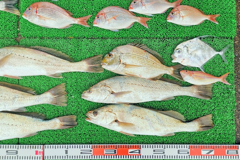 IMG_20251112_151532_edit_2414515766482086