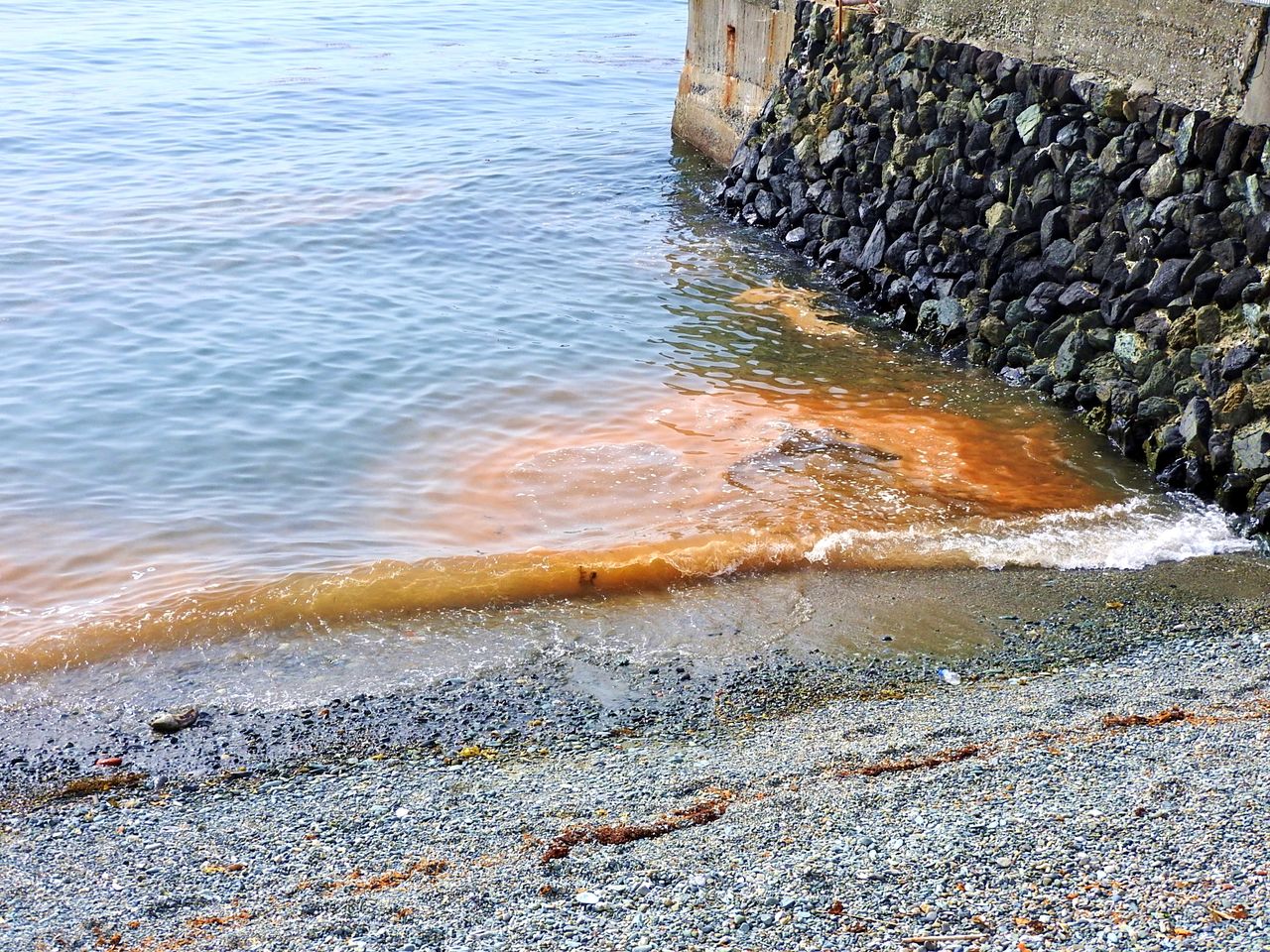瀬戸内海は澄んで綺麗でも赤潮発生中 竹村貸舟店 高知県 浦ノ内湾 宇佐 須崎市横浪半島沖の船釣り 釣果情報 ブログ