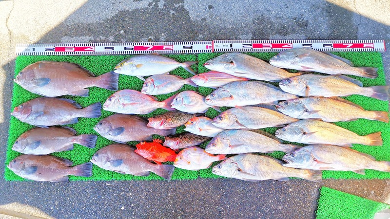 IMG_20251028_135601_edit_2100073252723817