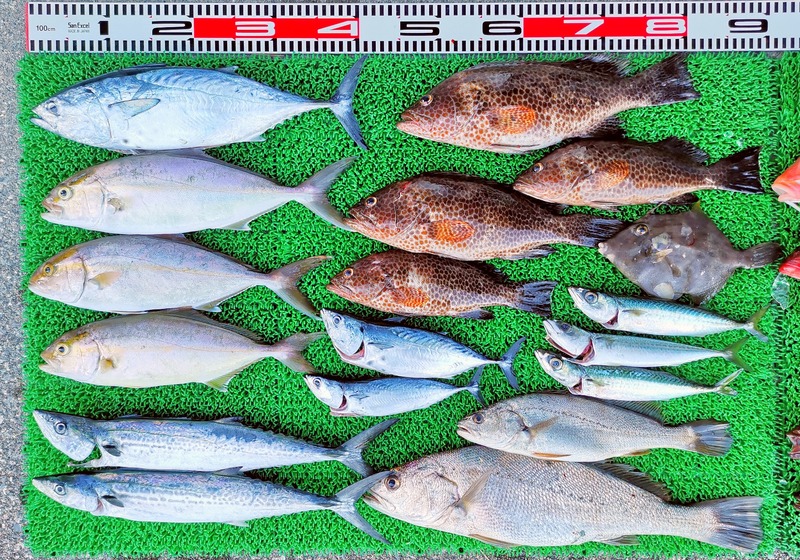 IMG_20251005_162938_edit_1604462081419233