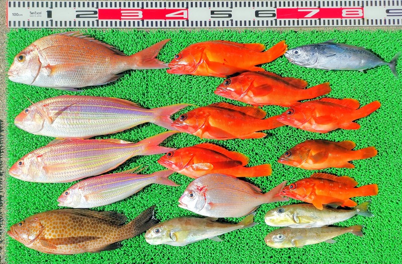 IMG_20251103_133426_edit_2246562414815526