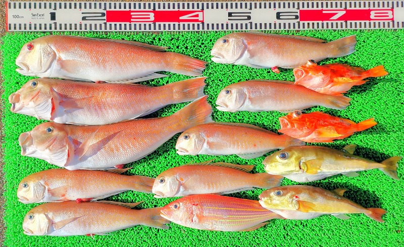 IMG_20250103_150558_edit_671310367914225