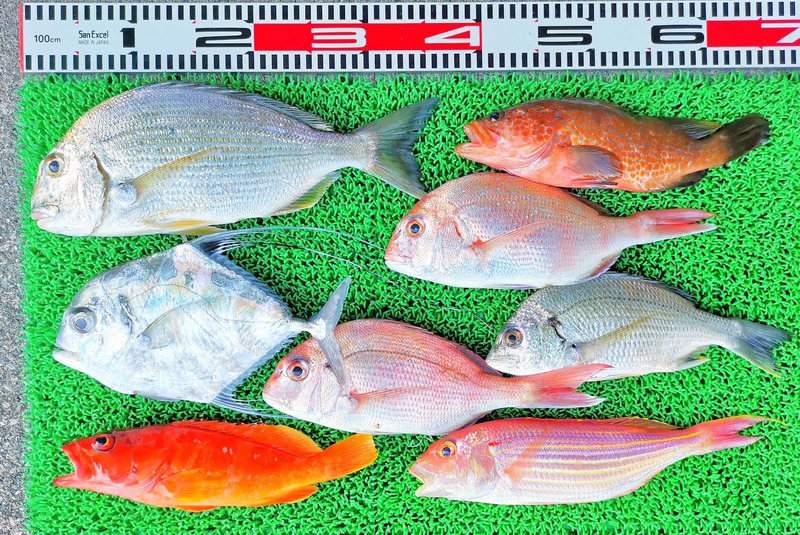 IMG_20251013_151218_edit_1787293852348627