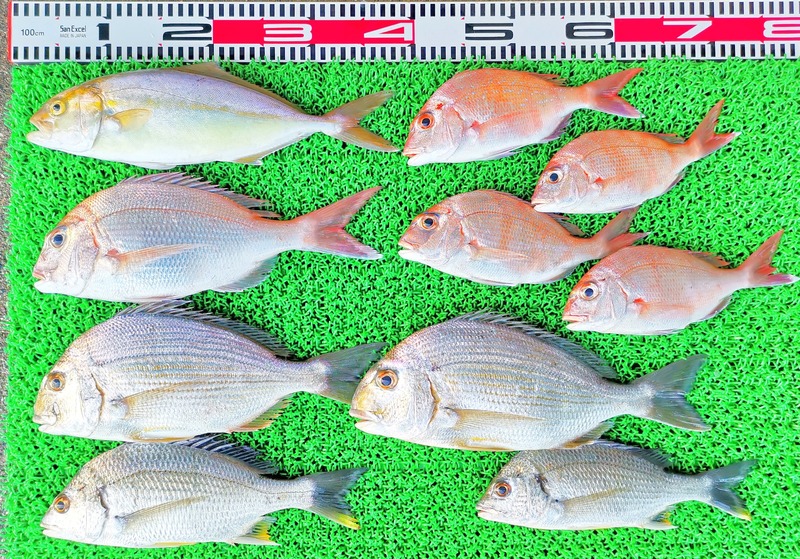 IMG_20230929_162726_edit_572433089770981