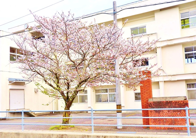 DSCN2256