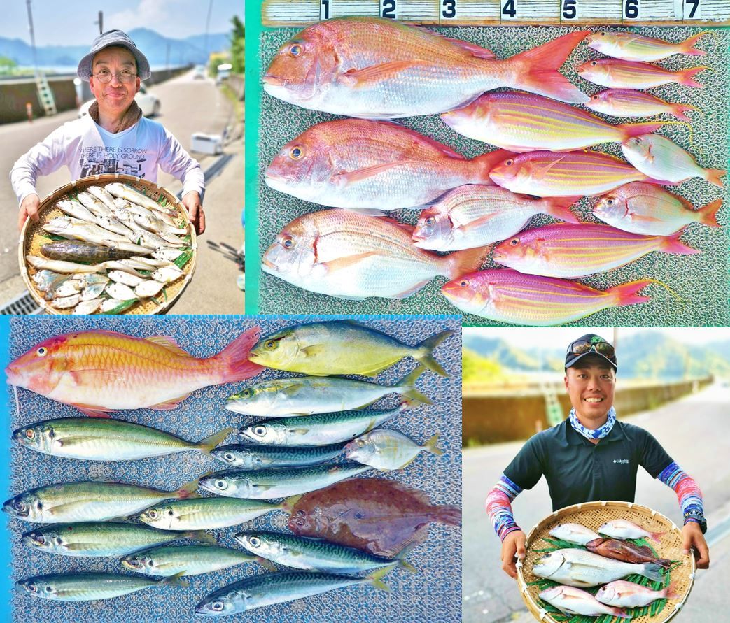 タイラバで54cmマダイ ジグサビキでアジやサバ キスは最大26cm 竹村貸舟店 高知県 浦ノ内湾 宇佐 須崎市横浪半島沖の船釣り 釣果情報 ブログ