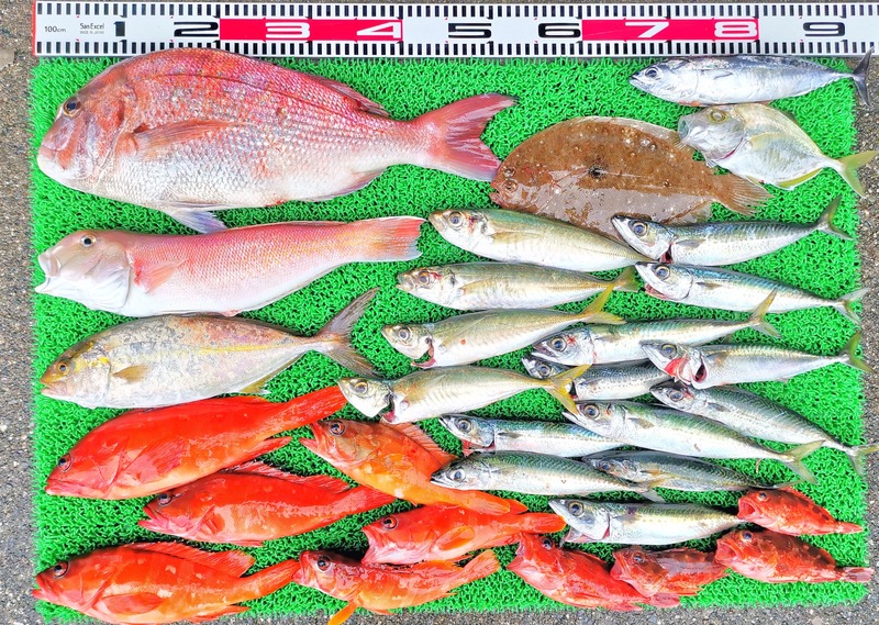 IMG_20251004_130031_edit_1578379823465400