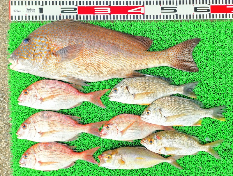 IMG_20220713_150157_edit_617602501495864