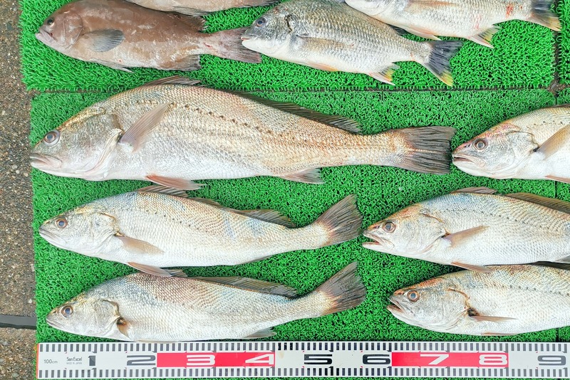 IMG_20251112_151522_edit_2414424418957100