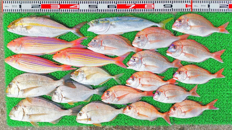 IMG_20211124_144214_edit_1271719585747615