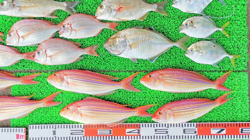 IMG_20231026_145936_edit_804359247532985