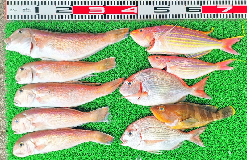 IMG_20220702_132141_edit_350146217142404