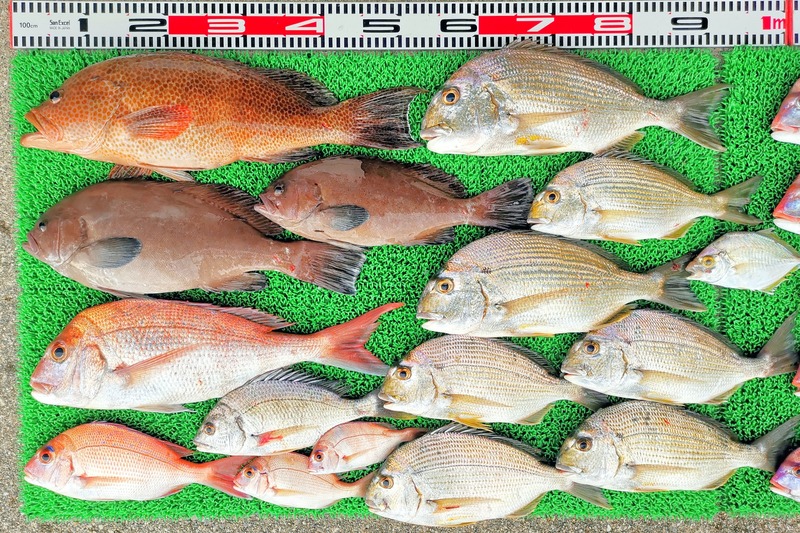 IMG_20251117_134930_edit_2521545759645442