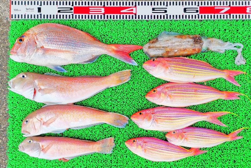 IMG_20230326_154809_edit_25736288039300